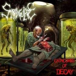 Strangulate : Catacombs of Decay